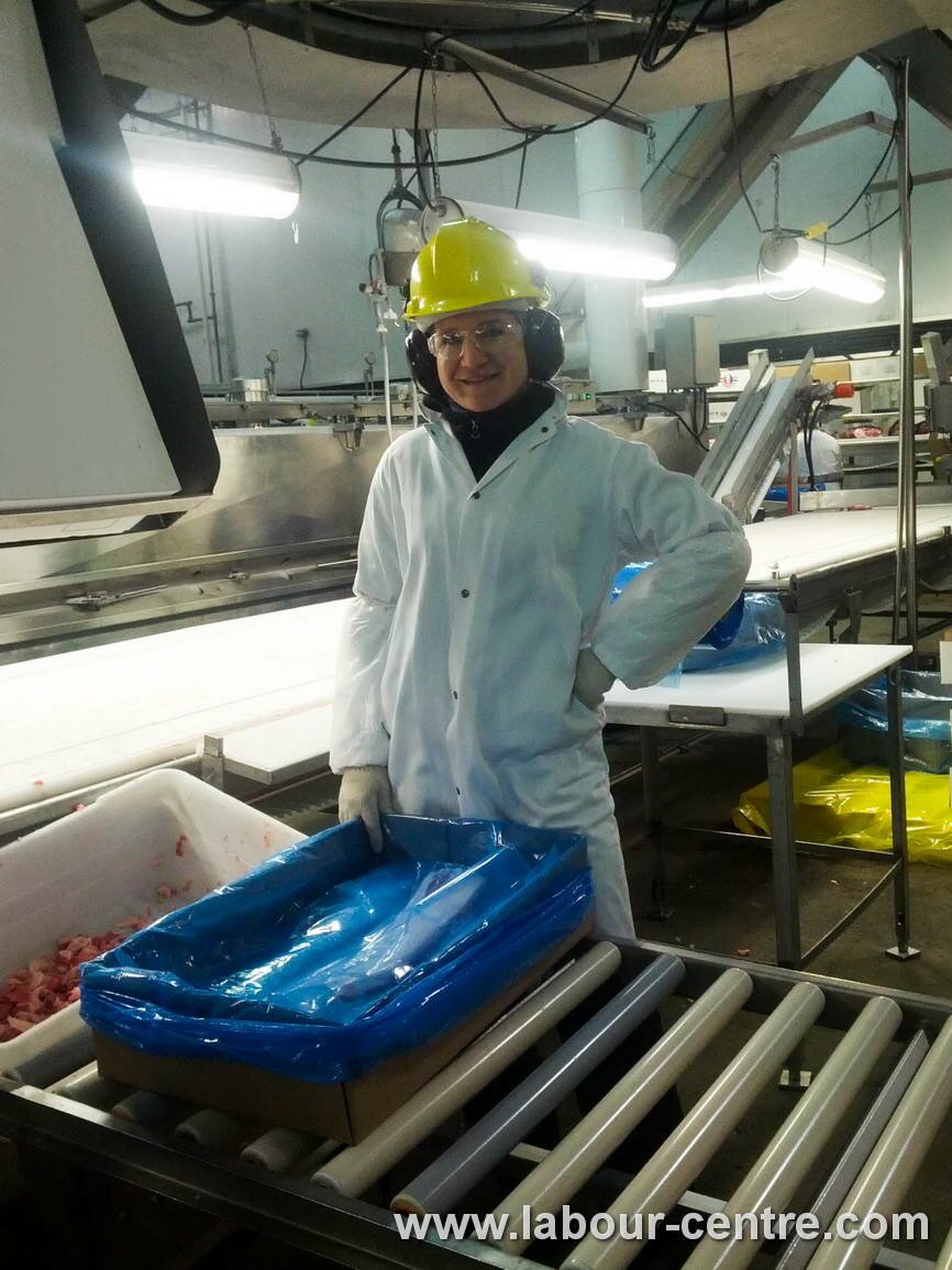 Natalia from Novograd-Volynskyi town, Zhytomyr region, tells about employment at meat processing plant and life in Canada.